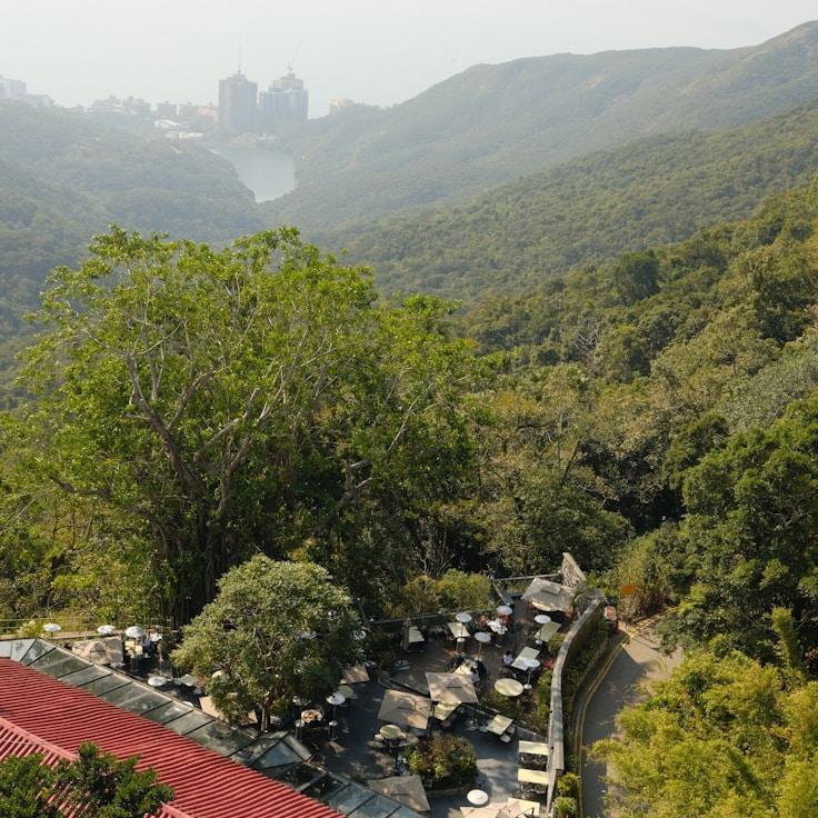 Family terraces and cafés for calm evenings in Brighton